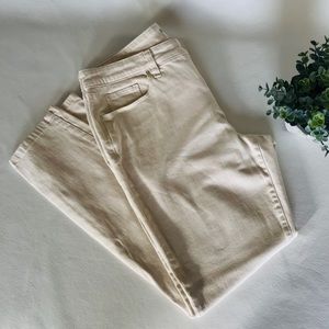 Style & Co Denim Skinny Leg Jeans